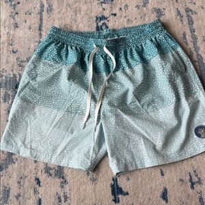 Chubbies Swim Trunks Men Small Bathing Suit Shorts